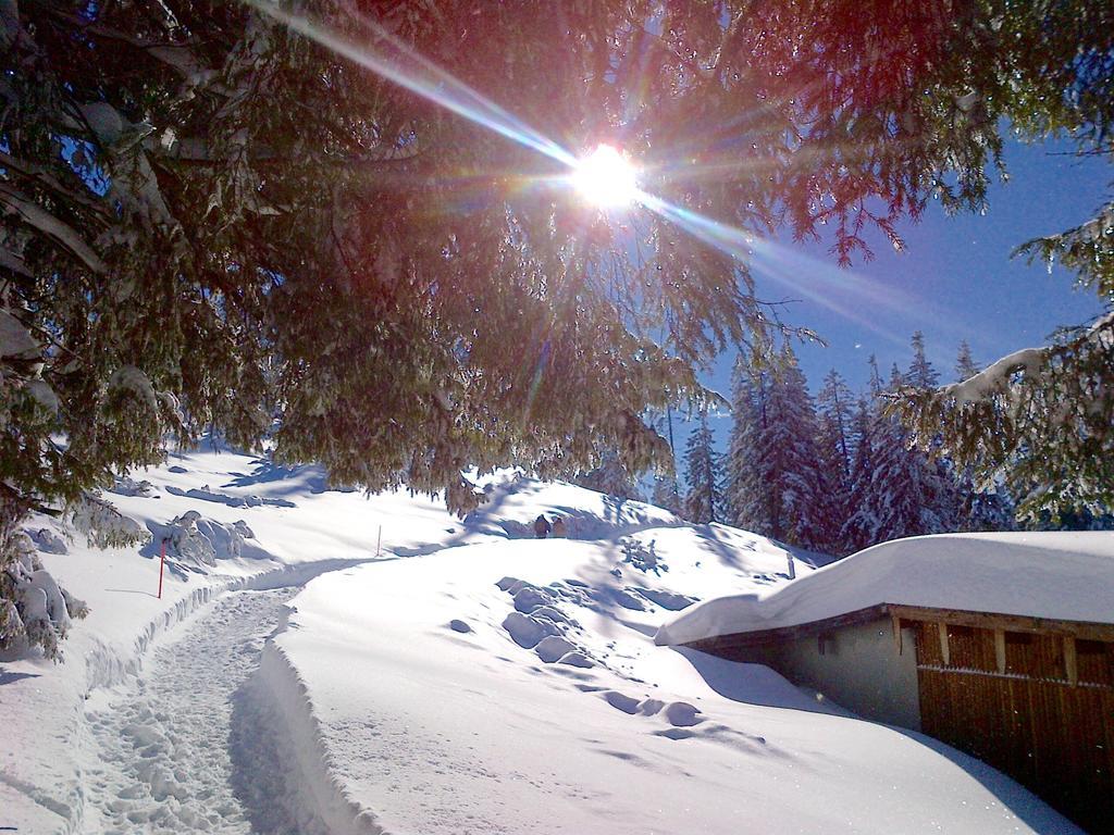 Bergbach Hotel Ramsau bei Berchtesgaden Ngoại thất bức ảnh
